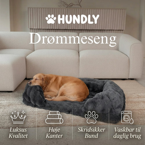 Ergonomisk Drømmeseng