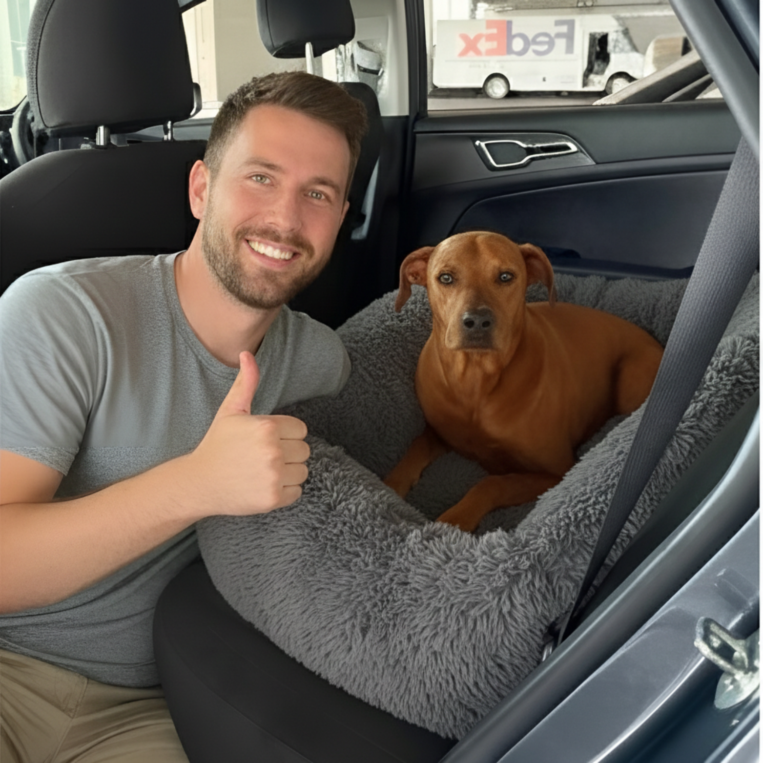 files/Luxurious_Cazy_Car_Bed_-_Reviews_3.png