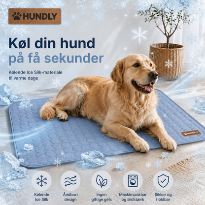 Cooling Måtte - 2 for 1
