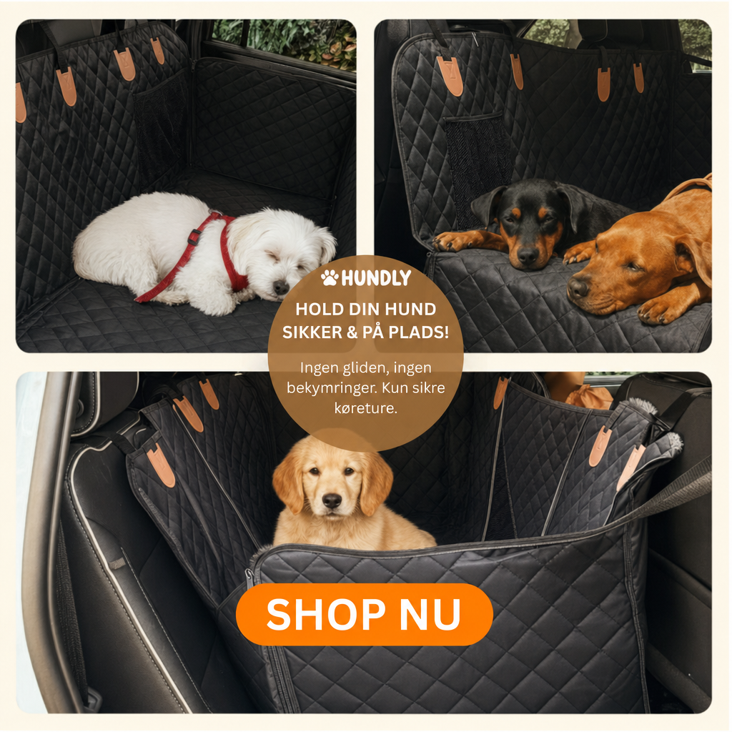 Lux seng til bilen